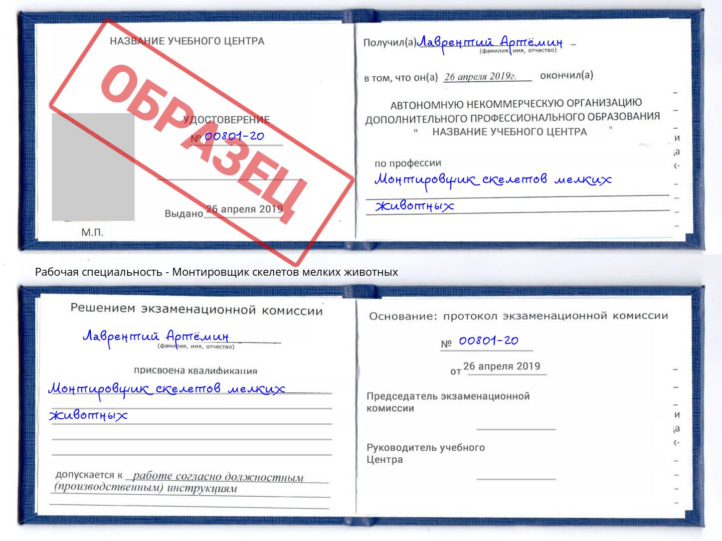 Монтировщик скелетов мелких животных Сосновоборск