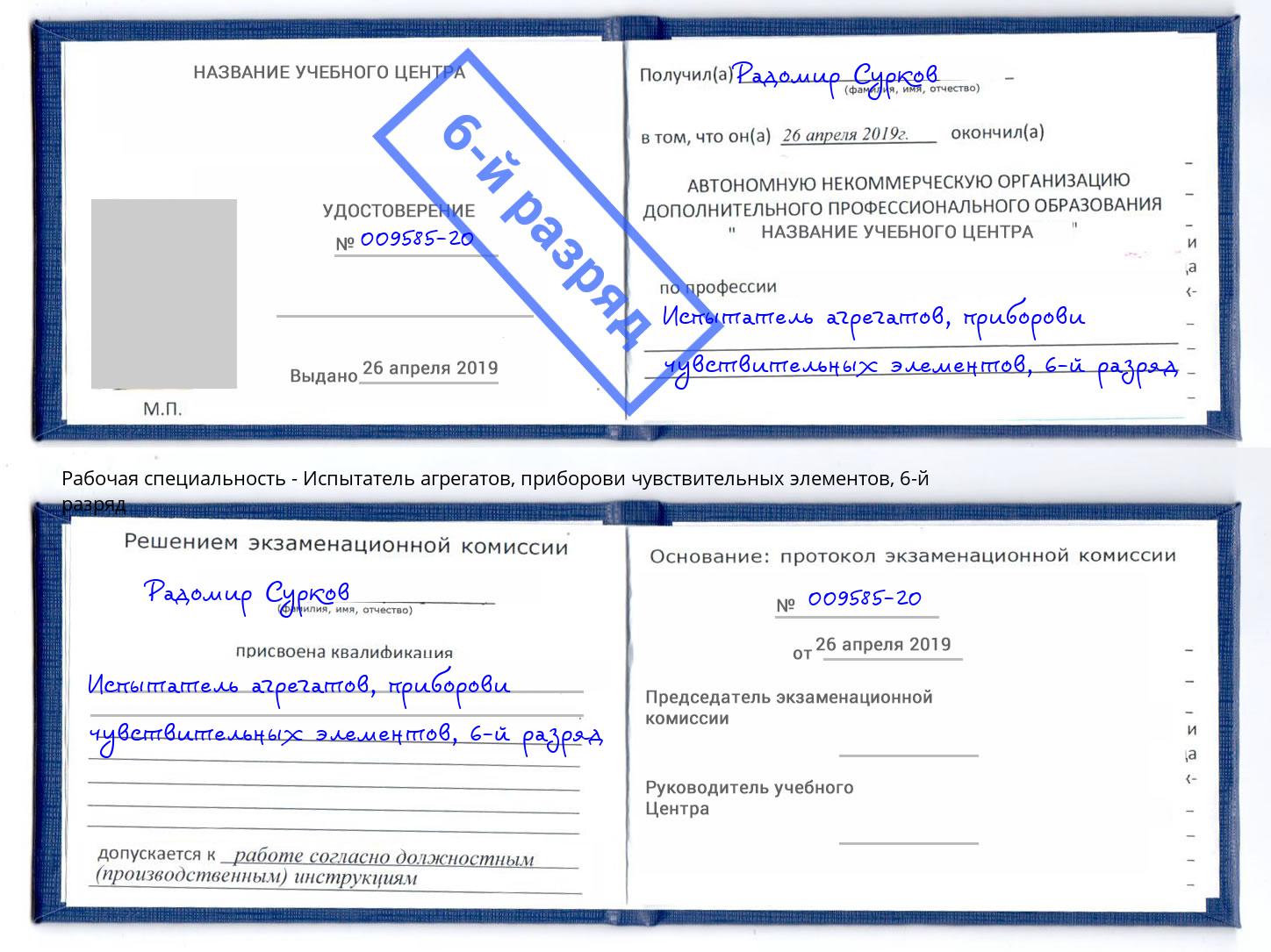 корочка 6-й разряд Испытатель агрегатов, приборови чувствительных элементов Сосновоборск