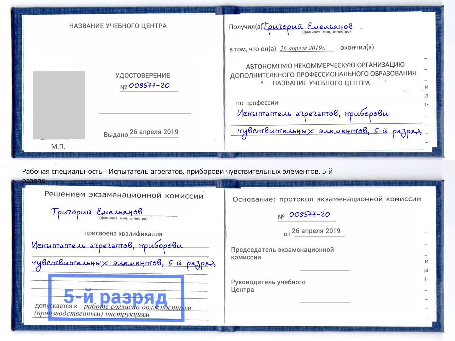 корочка 5-й разряд Испытатель агрегатов, приборови чувствительных элементов Сосновоборск